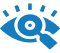 Vision Icon